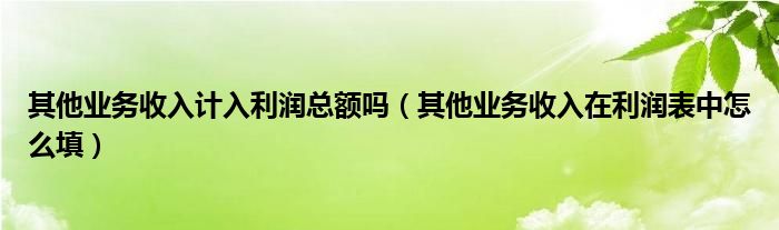 其他业务收入计入利润总额吗（其他业务收入在利润表中怎么填）