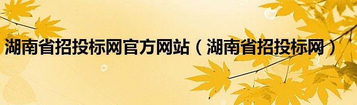 湖南省招投标网官方网站（湖南省招投标网）