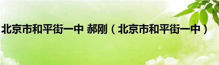 北京市和平街一中 郝刚（北京市和平街一中）