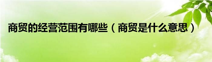 商贸的经营范围有哪些（商贸是什么意思）