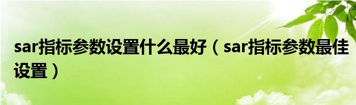 sar指标参数设置什么最好（sar指标参数最佳设置）