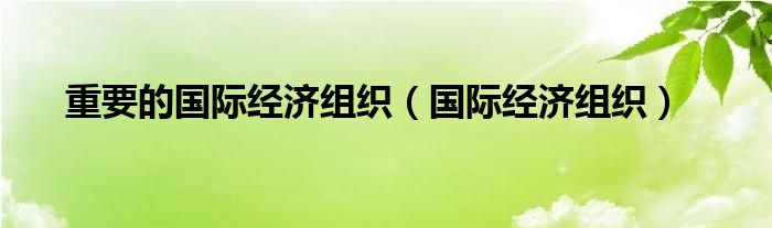 重要的国际经济组织（国际经济组织）