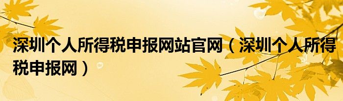 深圳个人所得税申报网站官网（深圳个人所得税申报网）