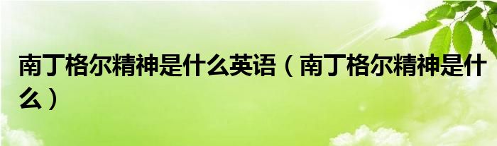 南丁格尔精神是什么英语（南丁格尔精神是什么）