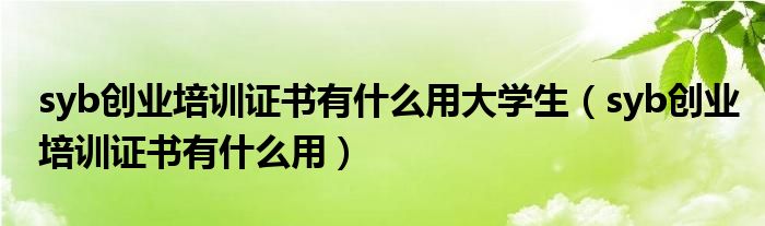 syb创业培训证书有什么用大学生（syb创业培训证书有什么用）