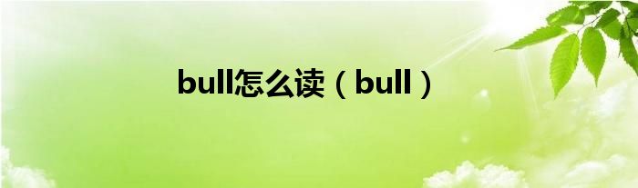 bull怎么读（bull）