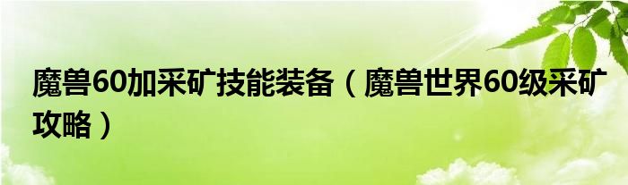 魔兽60加采矿技能装备（魔兽世界60级采矿攻略）