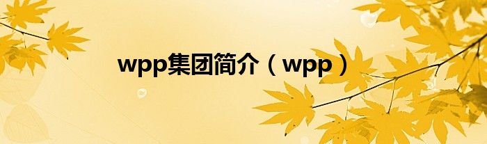 wpp集团简介（wpp）