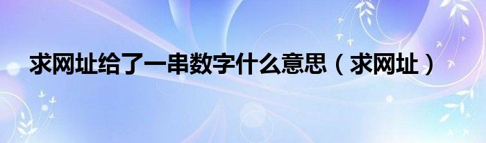 求网址给了一串数字什么意思（求网址）