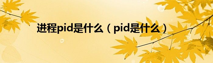 进程pid是什么（pid是什么）