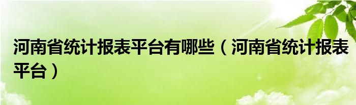 河南省统计报表平台有哪些（河南省统计报表平台）