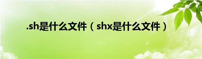 .sh是什么文件（shx是什么文件）