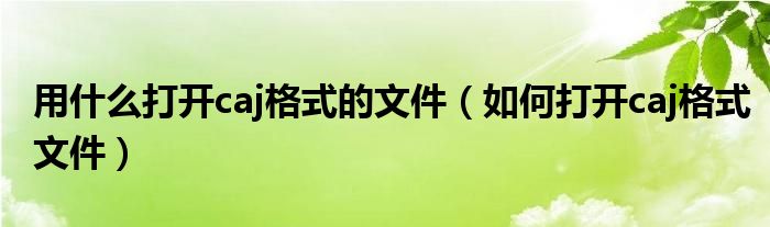 用什么打开caj格式的文件（如何打开caj格式文件）