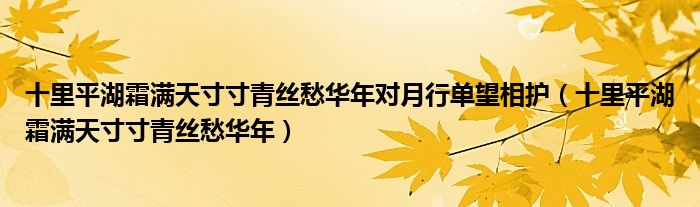 十里平湖霜满天寸寸青丝愁华年对月行单望相护（十里平湖霜满天寸寸青丝愁华年）