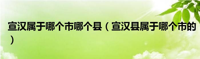 宣汉属于哪个市哪个县（宣汉县属于哪个市的）