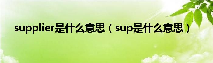 supplier是什么意思（sup是什么意思）