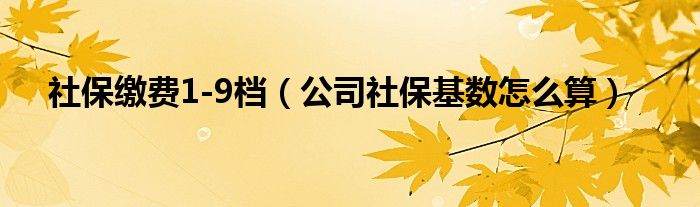 社保缴费1-9档（公司社保基数怎么算）