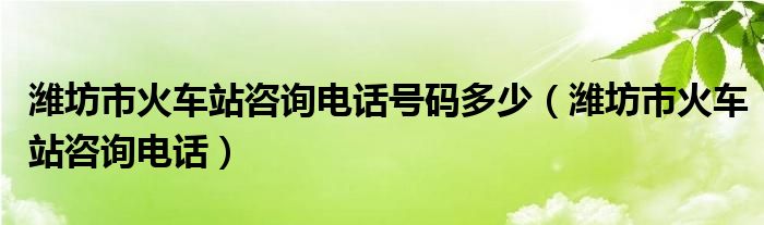 潍坊市火车站咨询电话号码多少（潍坊市火车站咨询电话）