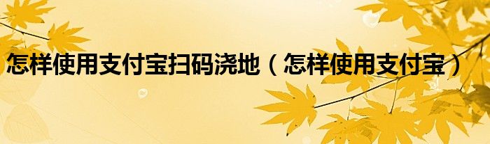 怎样使用支付宝扫码浇地（怎样使用支付宝）