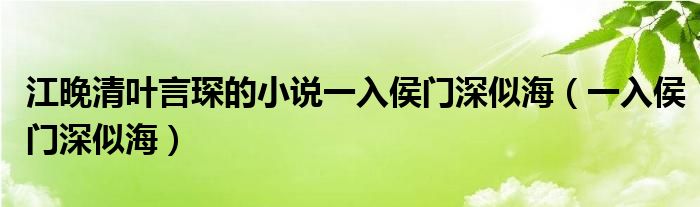 江晚清叶言琛的小说一入侯门深似海（一入侯门深似海）