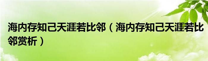 海内存知己天涯若比邻（海内存知己天涯若比邻赏析）