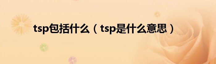 tsp包括什么（tsp是什么意思）