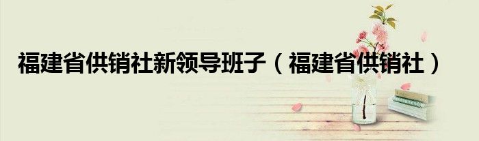 福建省供销社新领导班子（福建省供销社）