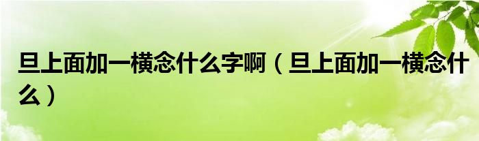 旦上面加一横念什么字啊（旦上面加一横念什么）