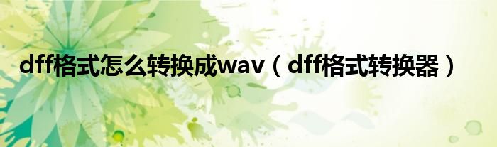 dff格式怎么转换成wav（dff格式转换器）