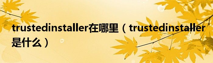 trustedinstaller在哪里（trustedinstaller是什么）