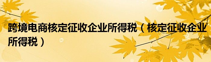 跨境电商核定征收企业所得税（核定征收企业所得税）