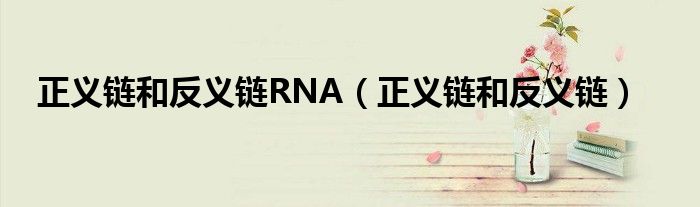 正义链和反义链RNA（正义链和反义链）