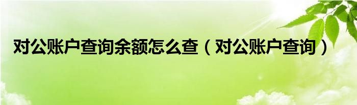 对公账户查询余额怎么查（对公账户查询）