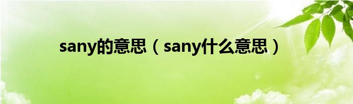 sany的意思（sany什么意思）