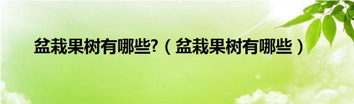 盆栽果树有哪些?（盆栽果树有哪些）