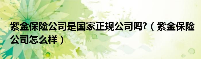 紫金保险公司是国家正规公司吗?（紫金保险公司怎么样）