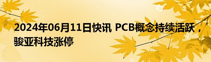 2024年06月11日快讯 PCB概念持续活跃，骏亚科技涨停