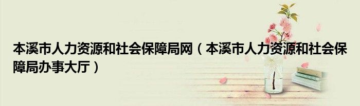 本溪市人力资源和社会保障局网（本溪市人力资源和社会保障局办事大厅）