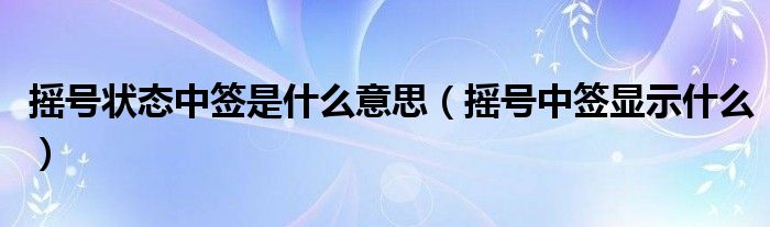 摇号状态中签是什么意思（摇号中签显示什么）