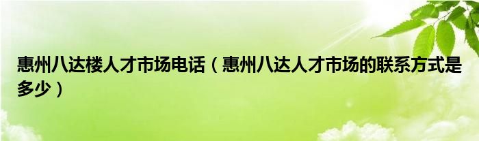 惠州八达楼人才市场电话（惠州八达人才市场的联系方式是多少）