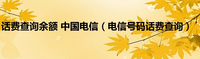 话费查询余额 中国电信（电信号码话费查询）