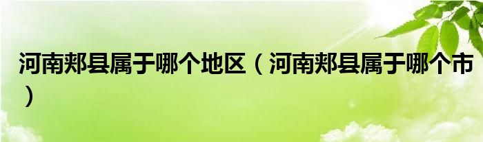 河南郏县属于哪个地区（河南郏县属于哪个市）