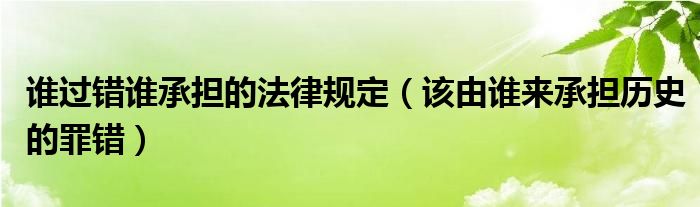 谁过错谁承担的法律规定（该由谁来承担历史的罪错）