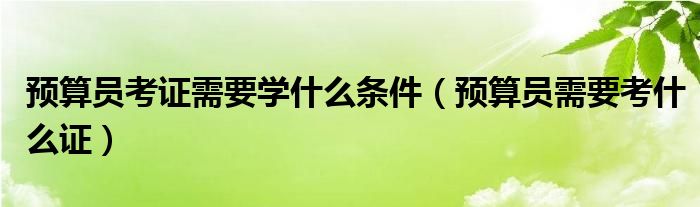 预算员考证需要学什么条件（预算员需要考什么证）