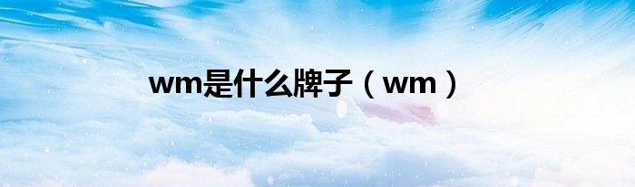 wm是什么牌子（wm）