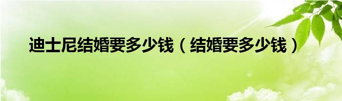 迪士尼结婚要多少钱（结婚要多少钱）