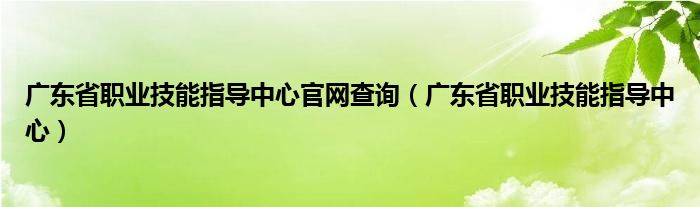 广东省职业技能指导中心官网查询（广东省职业技能指导中心）