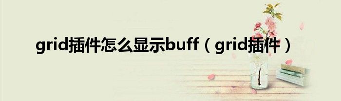 grid插件怎么显示buff（grid插件）