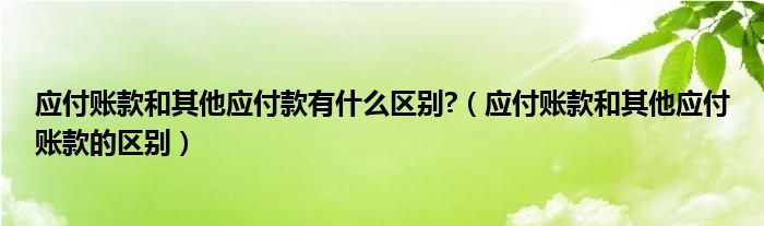 应付账款和其他应付款有什么区别?（应付账款和其他应付账款的区别）