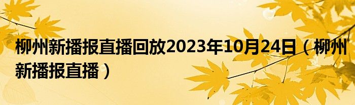 柳州新播报直播回放2023年10月24日（柳州新播报直播）